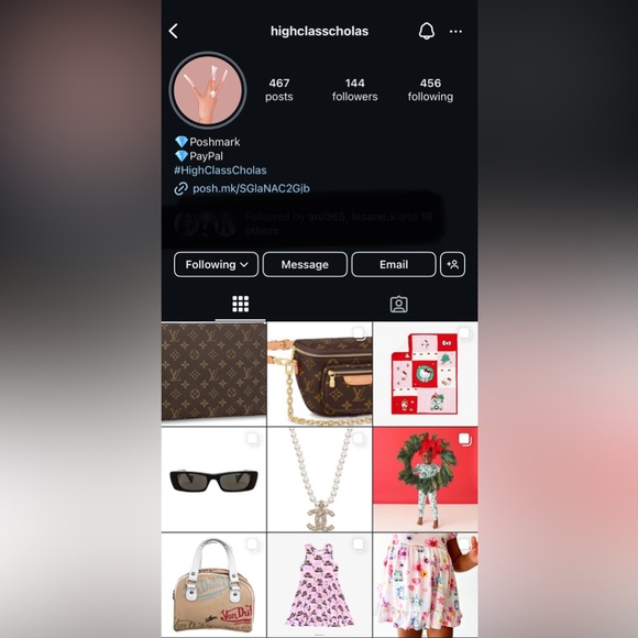 Meet your Posher, HighClassChola - Picture 4 of 4